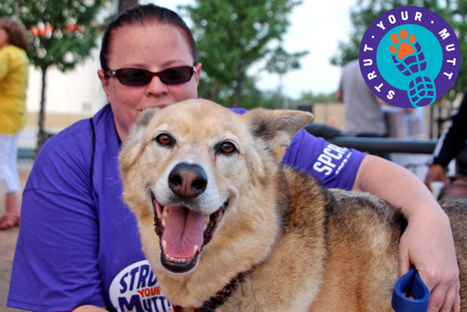 Strut Your Mutt, The Race to End Animal Cruelty